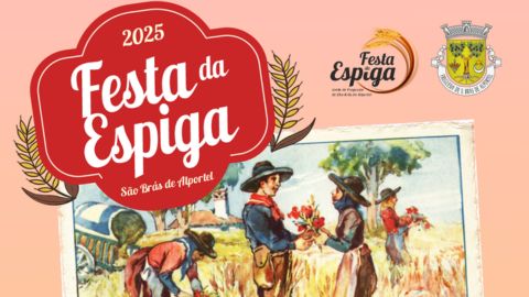 Festa da Espiga 2025 